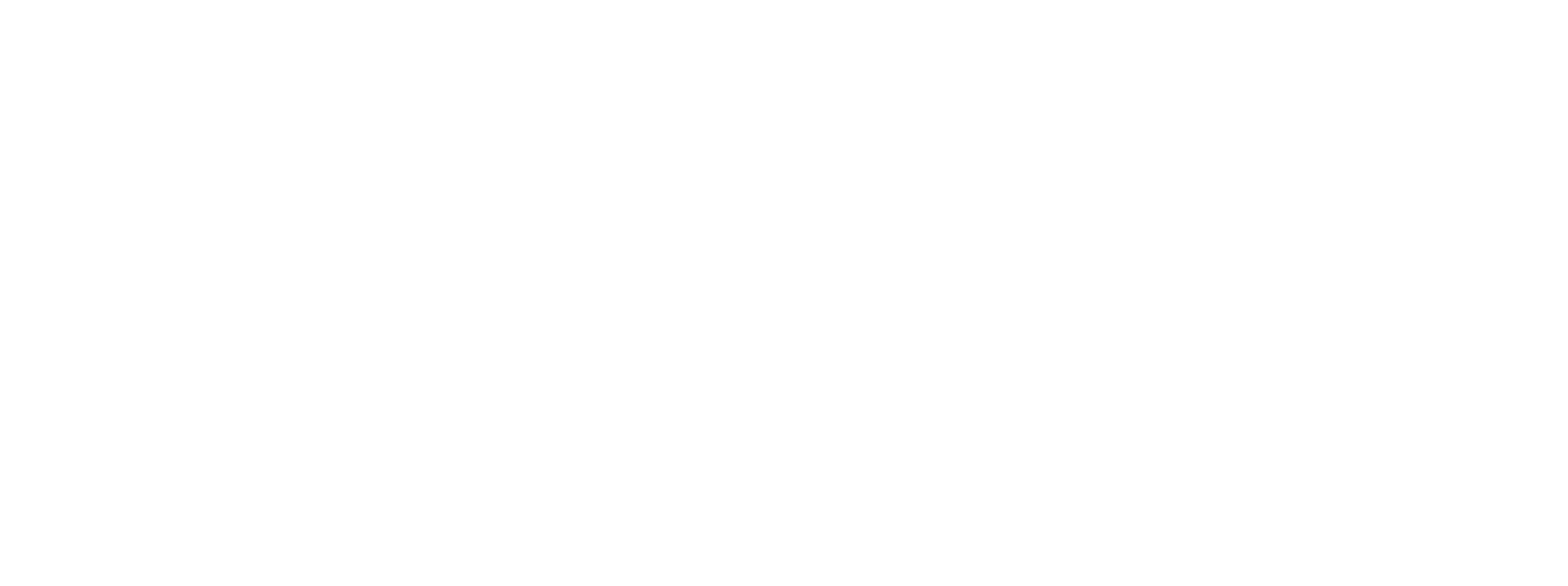 Tenvor Springs Logo